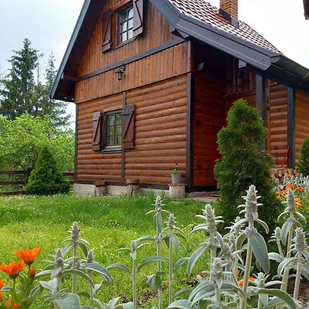Вилла Brvnare Na Brdu Sljivovica  Экстерьер фото