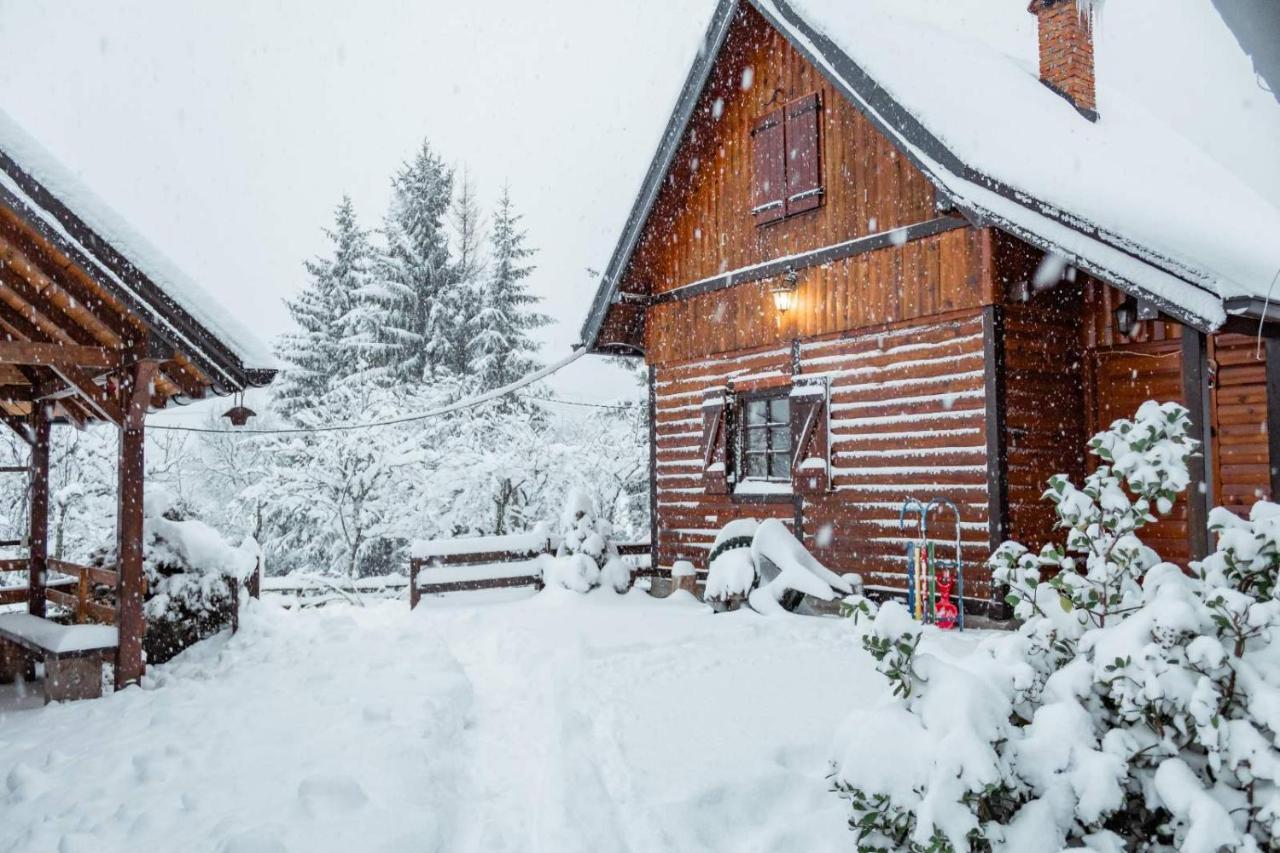 Вилла Brvnare Na Brdu Sljivovica  Экстерьер фото