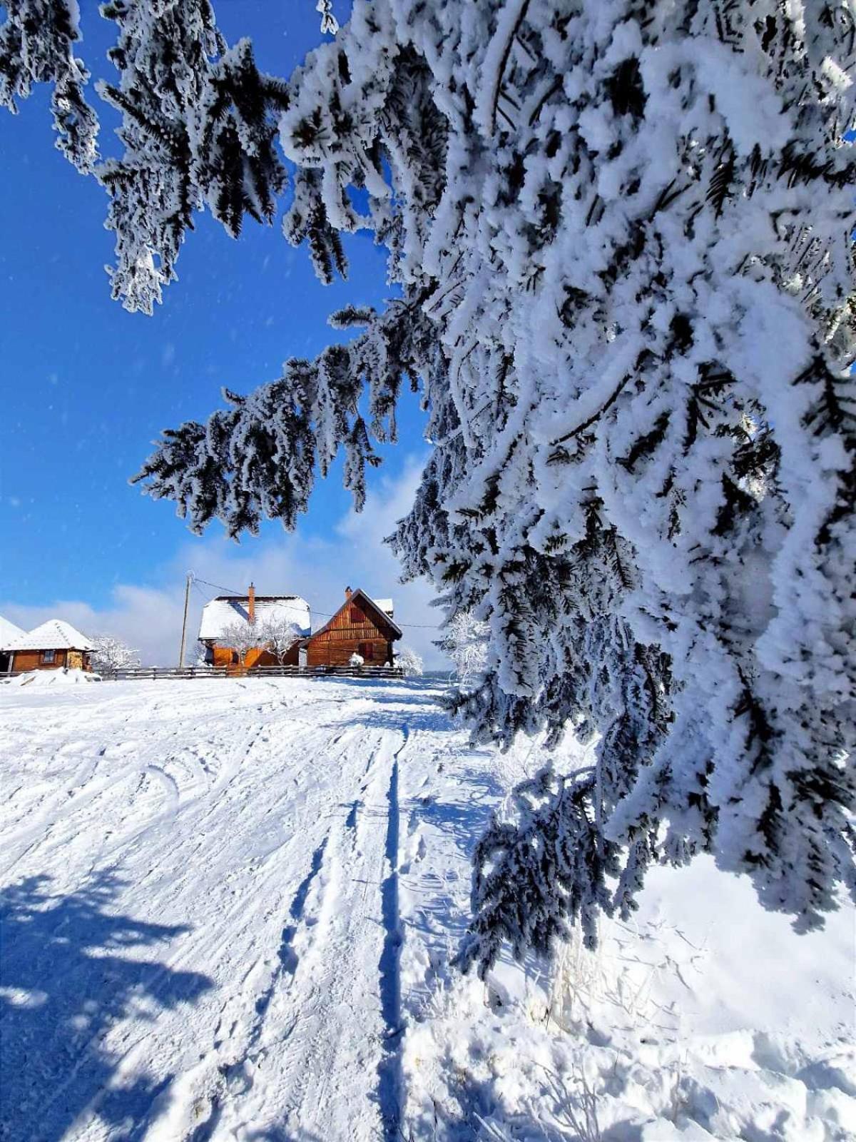 Вилла Brvnare Na Brdu Sljivovica  Экстерьер фото